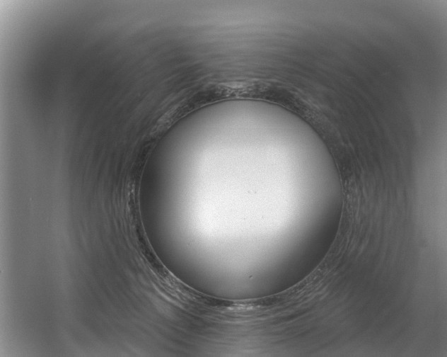 X0000057570225200509160845