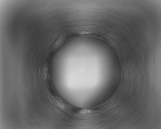 X0000057570227200509160845
