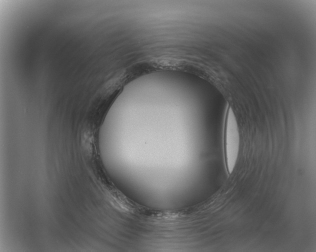 X0000057570235200509160844