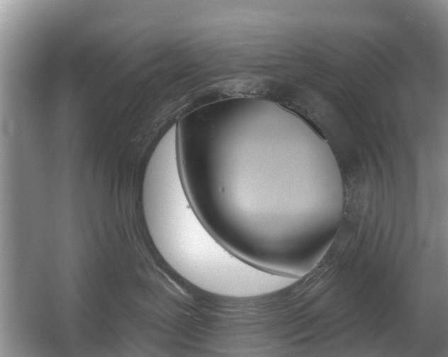 X0000057570239200509160844