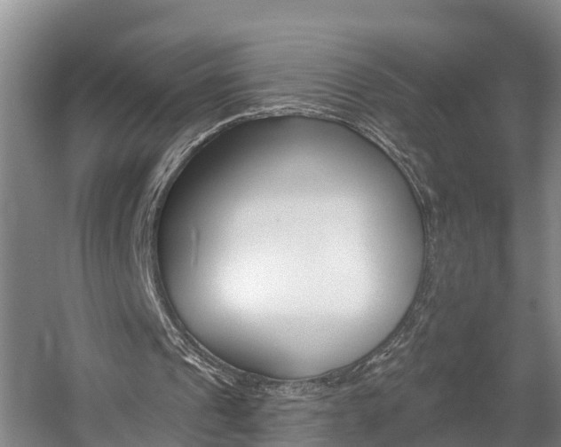 X0000057570241200509160844