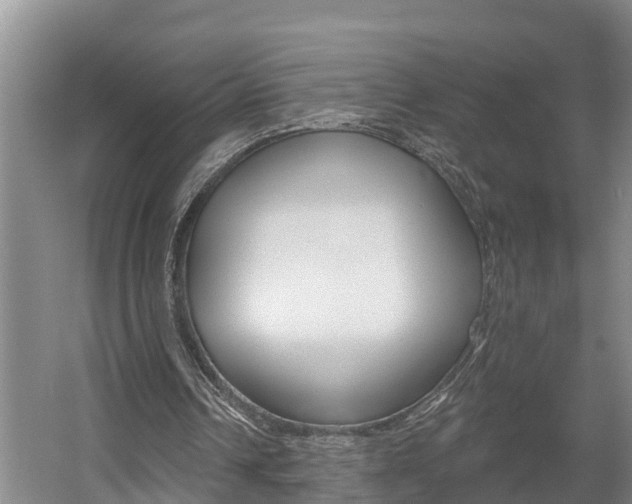 X0000057570242200509160844