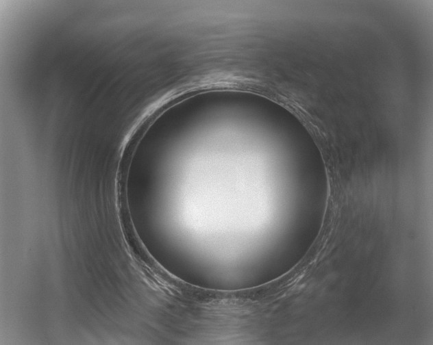 X0000057570244200509160844