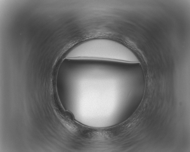 X0000057570250200509160844