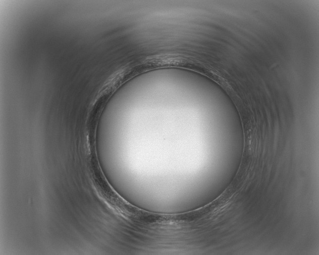 X0000057570254200509160844