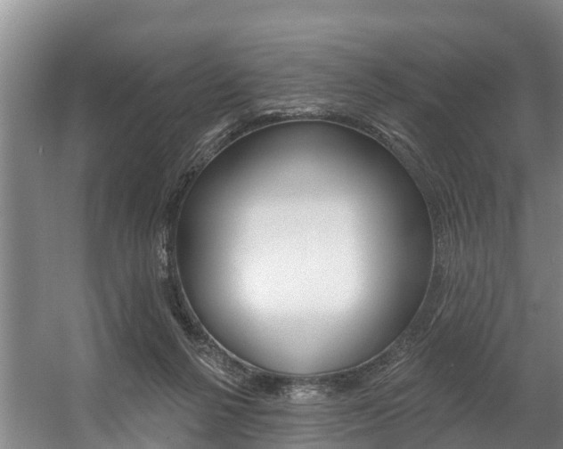 X0000057570264200509160844