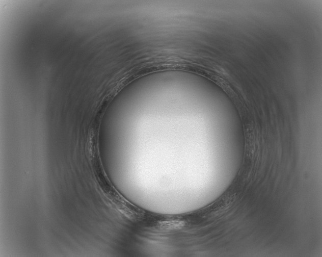 X0000057570266200509160844