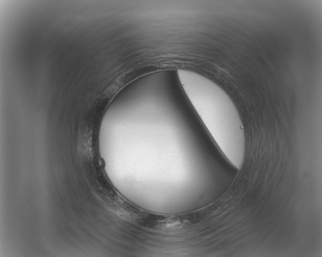 X0000057570267200509160844