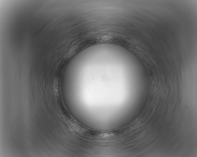 X0000057570274200509160844
