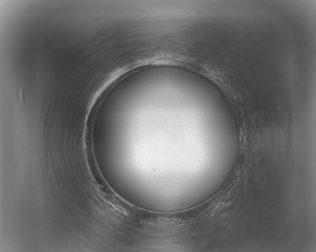 X0000057570292200509160843