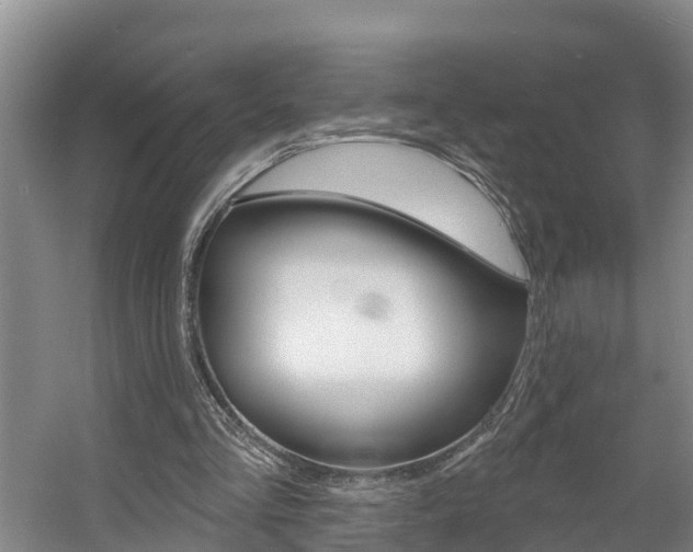 X0000057570293200509160843