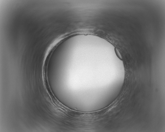 X0000057570294200509160843