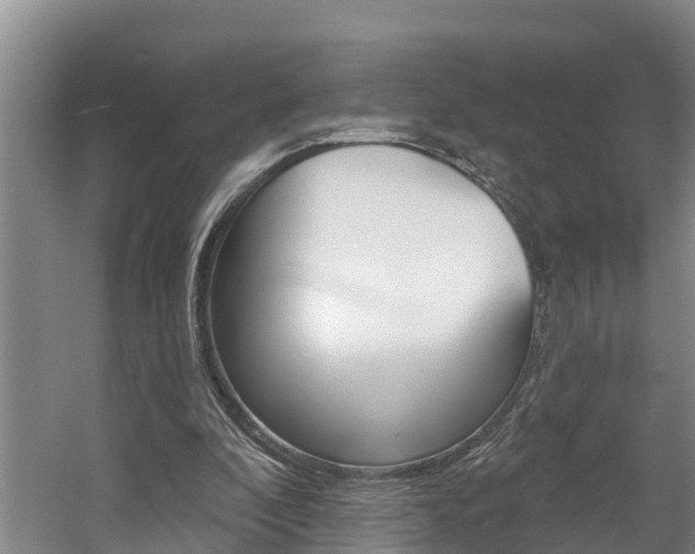X0000057570296200509160843