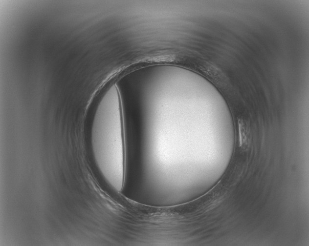 X0000057570300200509160843