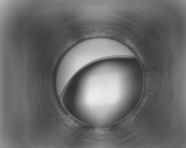 X0000057570305200509160843