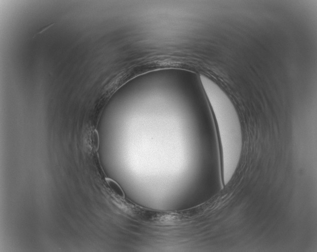 X0000057570325200509160843
