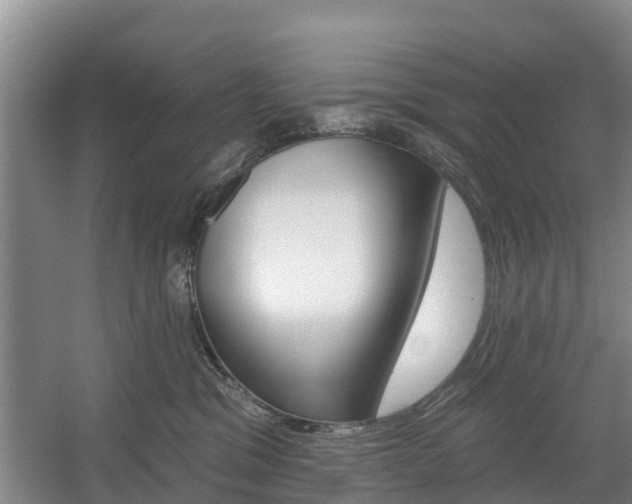 X0000057570329200509160843