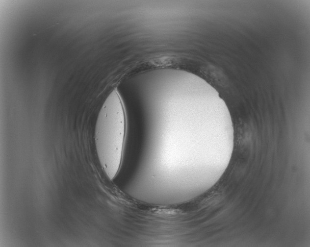 X0000057570332200509160843