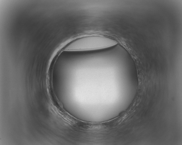 X0000057570342200509160842