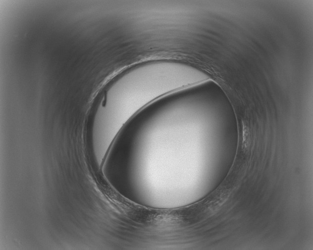 X0000057570348200509160842