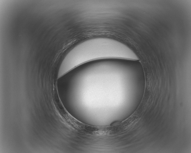 X0000057570356200509160842