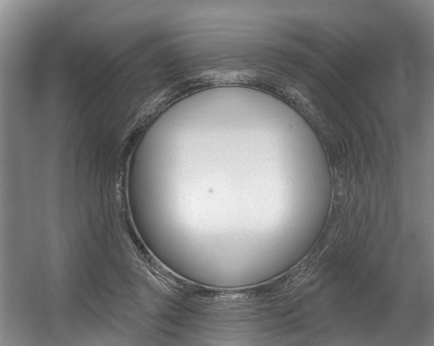 X0000057570357200509160842