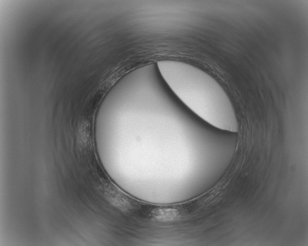 X0000057570361200509160842