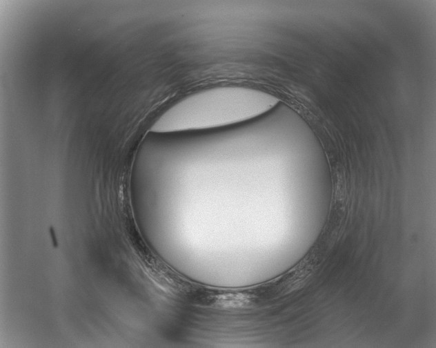 X0000057570363200509160842