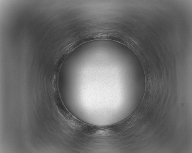 X0000057570364200509160842