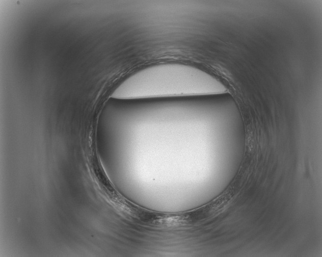X0000057570365200509160842