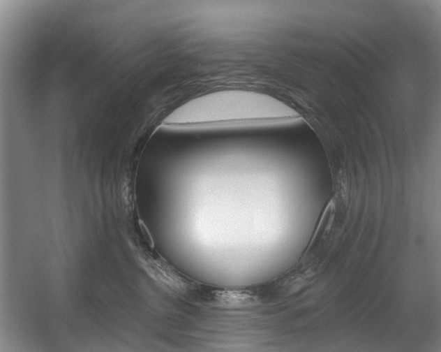X0000057570380200509160843