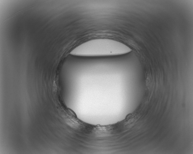 X0000057570381200509160843
