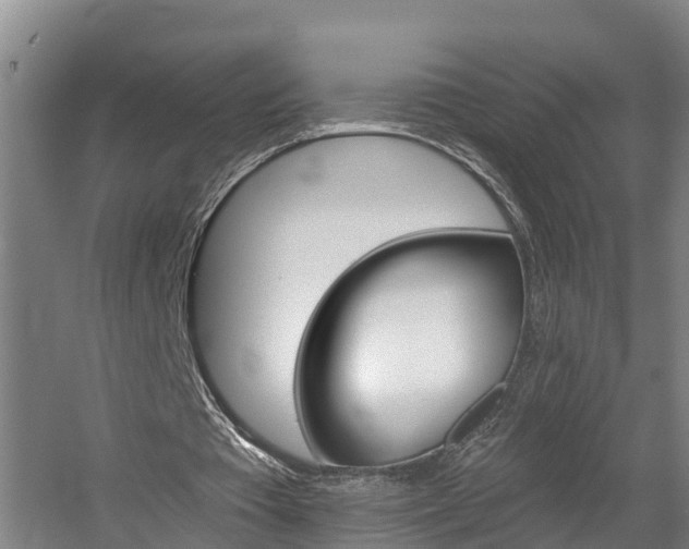 X0000057570385200509160842