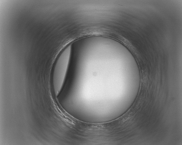 X0000057570386200509160842