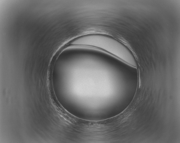 X0000057570387200509160842