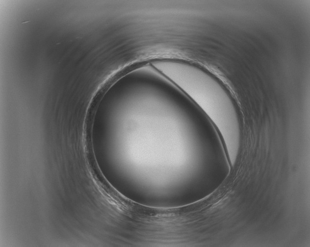 X0000057570391200509160842