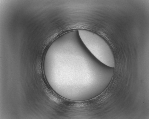 X0000057570394200509160842