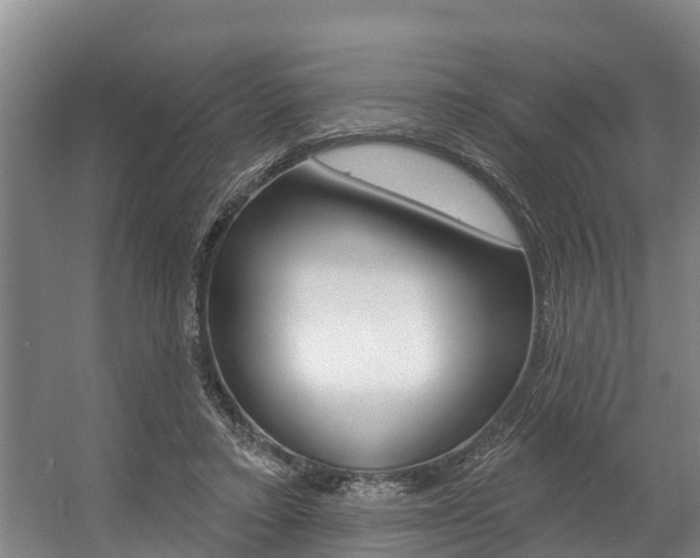 X0000057570403200509160842