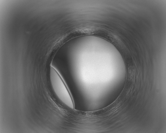 X0000057570404200509160842