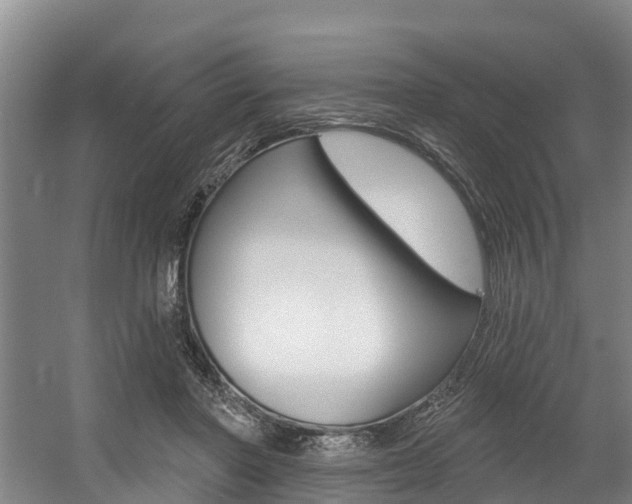 X0000057570406200509160842