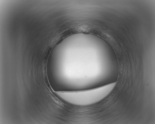 X0000057570409200509160841