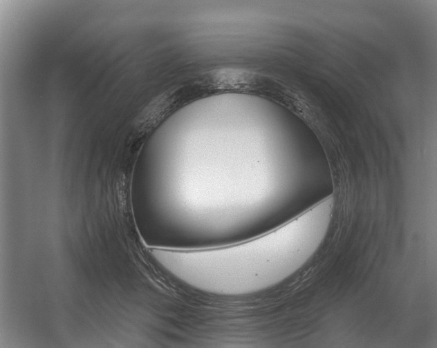 X0000057570413200509160841