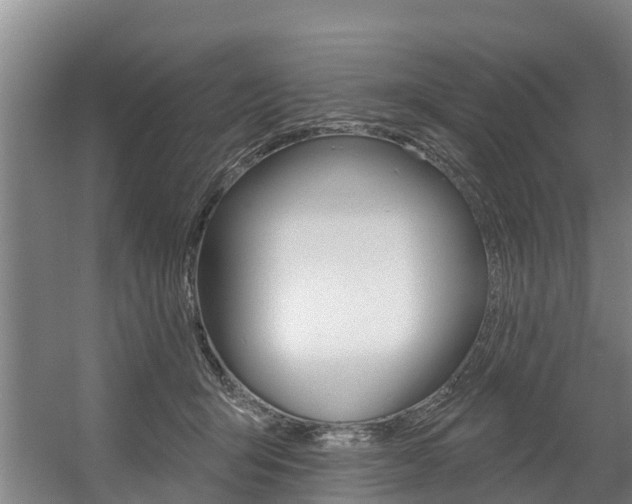 X0000057570415200509160841