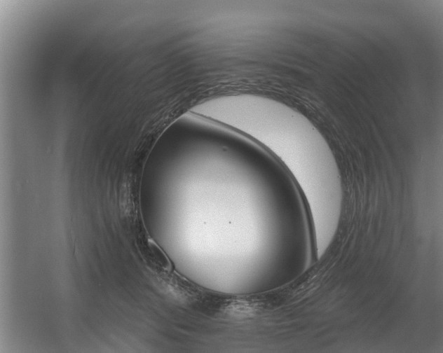 X0000057570416200509160841
