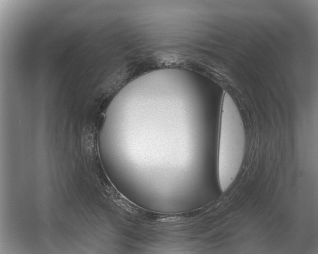 X0000057570417200509160841