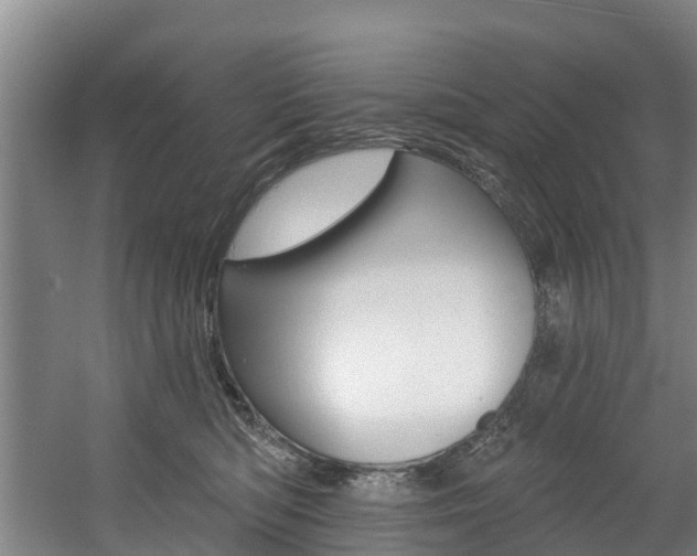 X0000057570422200509160841
