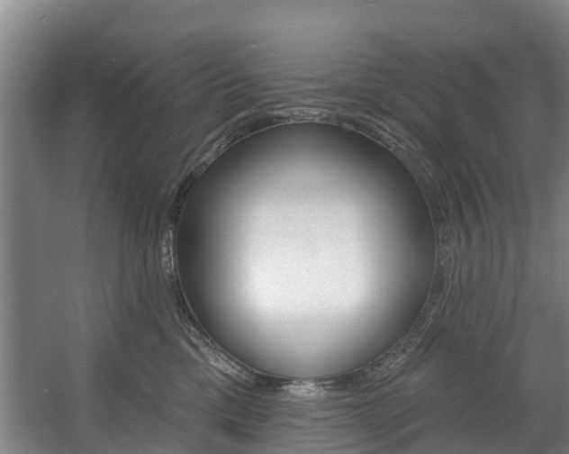 X0000057570425200509160841
