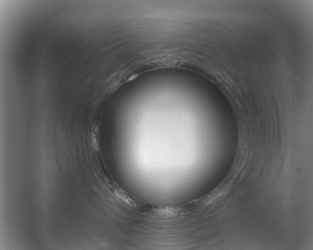 X0000057570432200509160841