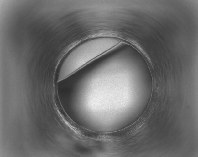 X0000057570437200509160840