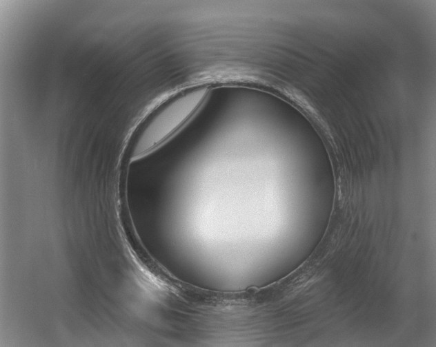 X0000057570438200509160840